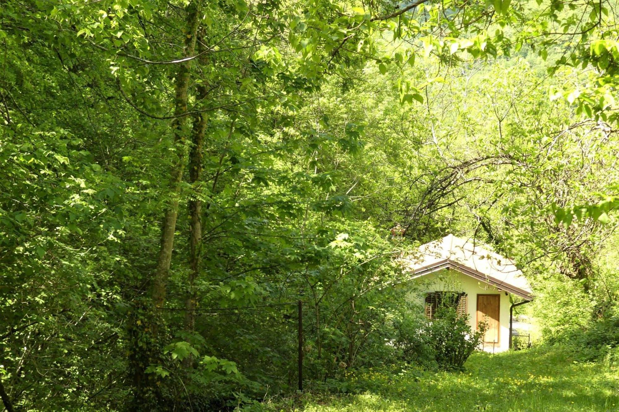 House By The Stream - Happy Rentals Avce Exterior photo