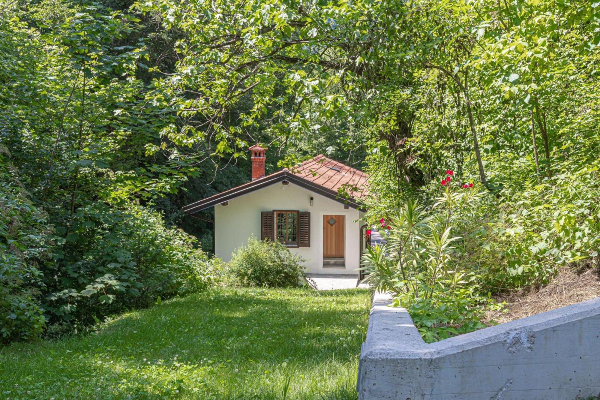 House By The Stream - Happy Rentals Avce Exterior photo